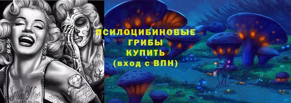 гидра Белоозёрский